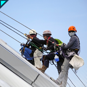 Arnes de seguridad
